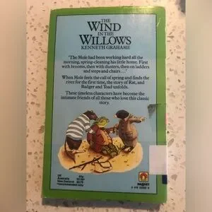 Other | The Wind In The Willows Book By Kenneth Grahame | Poshmark